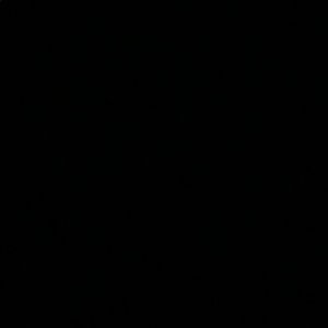 Meet your Posher, Niki